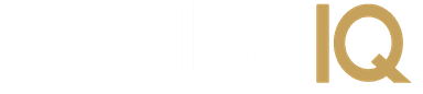 IntelekIQ