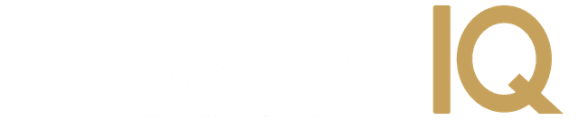 IntelekIQ